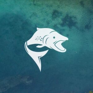 Trout Bariloche Logo Wsp